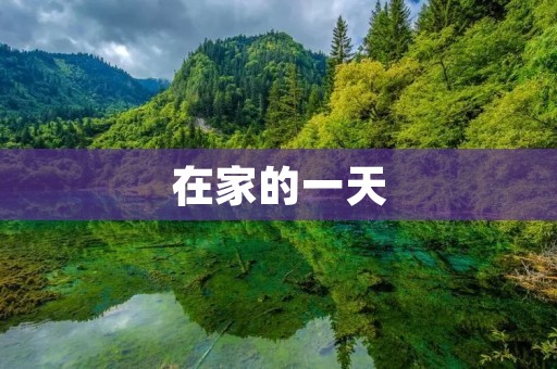 在家的一天