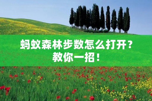 蚂蚁森林步数怎么打开?教你一招! 蚂蚁森林步数怎么打开?教你一招!
