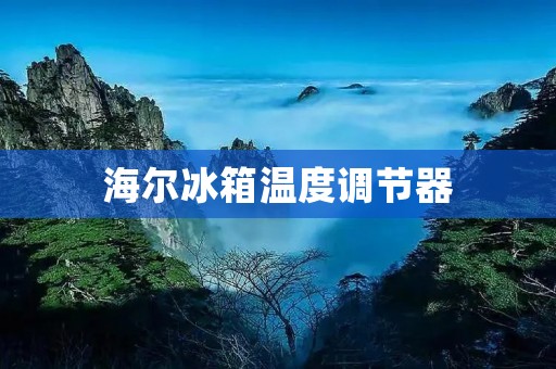 海尔冰箱温度调节器：让你的食物保持最佳状态