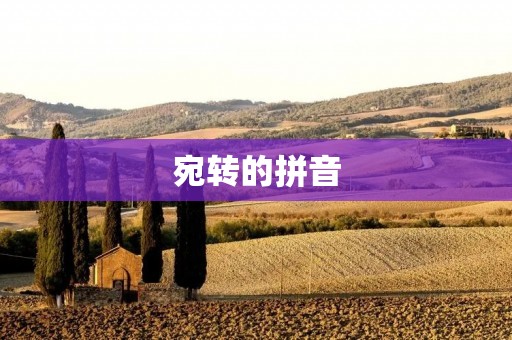 宛转的拼音：一种新的汉语拼音方案