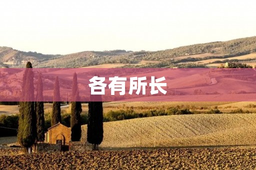 各有所长：探讨不同人才的优势与发挥
