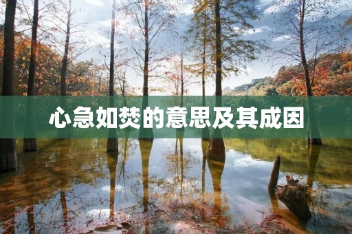 心急如焚的意思及其成因