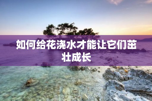 如何给花浇水才能让它们茁壮成长