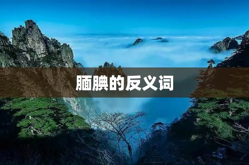 腼腆的反义词：自信