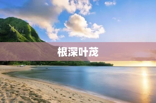 根深叶茂:自然万物的生命力 根深叶茂:自然万物的生命力