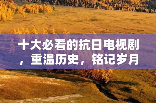 十大必看的抗日电视剧,重温历史,铭记岁月
