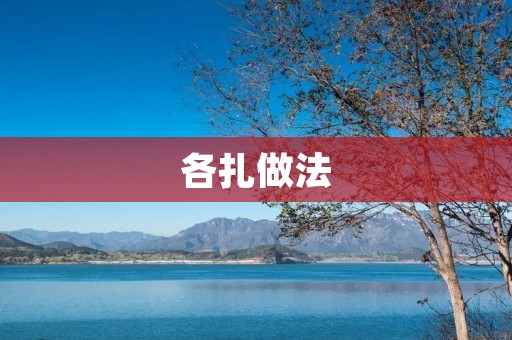 各扎做法:让你的美食更加美味 各扎做法:让你的美食更加美味