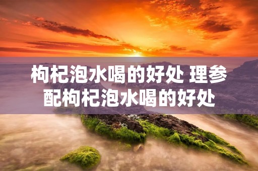 枸杞泡水喝的好处 理参配枸杞泡水喝的好处