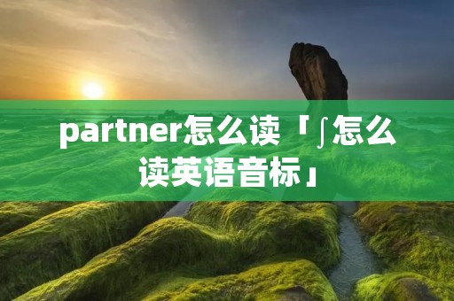 partner怎么读「∫怎么读英语音标」 partner怎么读「∫怎么读英语音标」