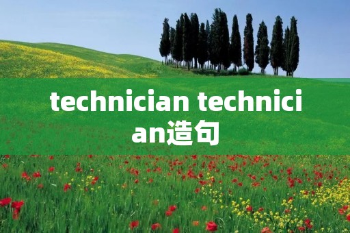 technician technician造句
