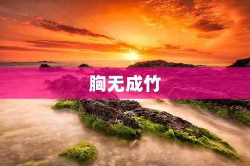 胸无成竹：迷茫无措的反义词