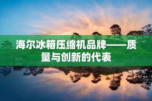 海尔冰箱压缩机品牌——质量与创新的代表