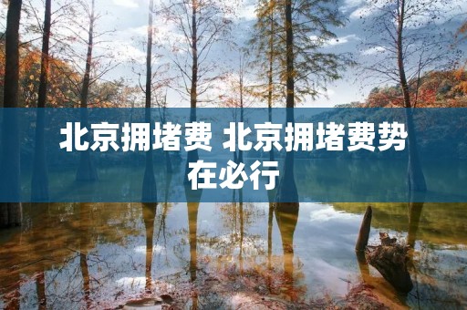 北京拥堵费 北京拥堵费势在必行