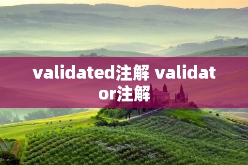 validated注解 validator注解 validated注解 validator注解