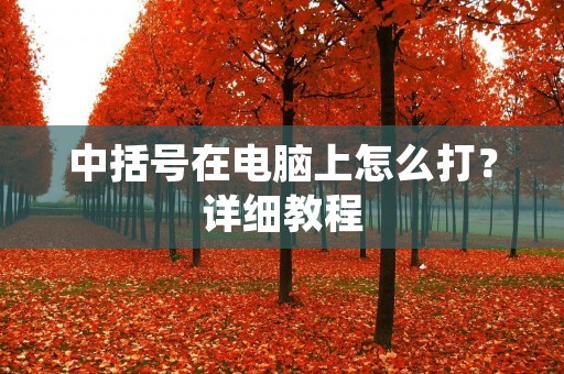 中括号在电脑上怎么打?详细教程 中括号在电脑上怎么打?详细教程