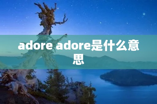 adore adore是什么意思
