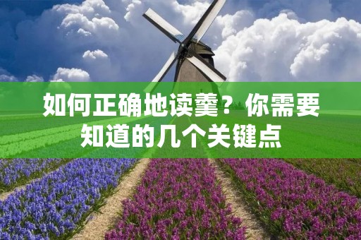 如何正确地读羹?你需要知道的几个关键点 如何正确地读羹?你需要知道的几个关键点