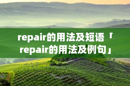 repair的用法及短语「repair的用法及例句」