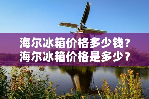 海尔冰箱价格多少钱？海尔冰箱价格是多少？这是很多人购买海尔冰箱时会问到的问题。海尔冰箱作为国内知名的家电品牌，其产品性能和质量都受到了广泛的认可。但是，海尔冰箱的价格也是消费者关注的重点之一。那么，海尔冰箱一般多少钱呢？