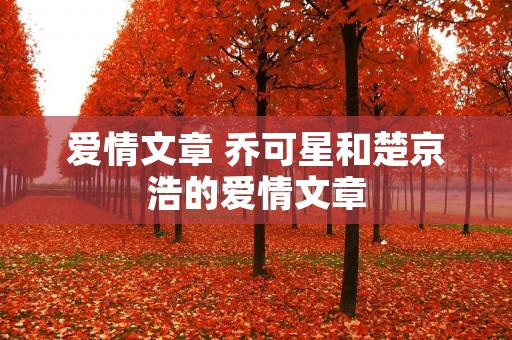 爱情文章 乔可星和楚京浩的爱情文章