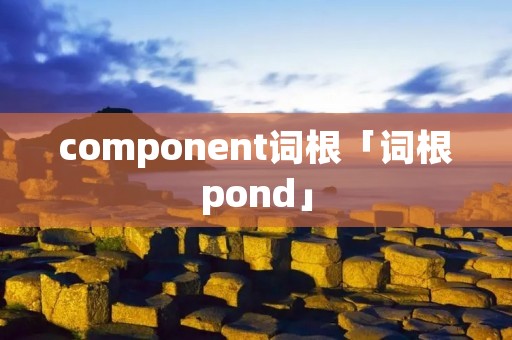 component词根「词根pond」