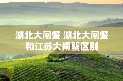 湖北大闸蟹 湖北大闸蟹和江苏大闸蟹区别