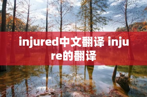 injured中文翻译 injure的翻译