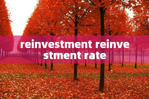 reinvestment reinvestment rate