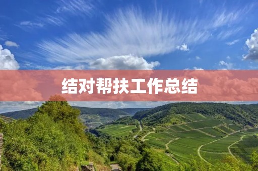 结对帮扶工作总结