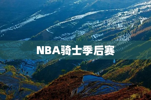 NBA骑士季后赛:詹姆斯再度狂飙 NBA骑士季后赛:詹姆斯再度狂飙