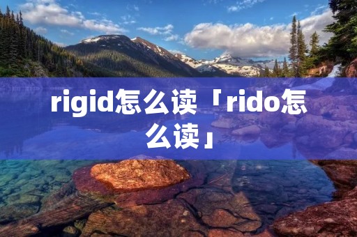 rigid怎么读「rido怎么读」