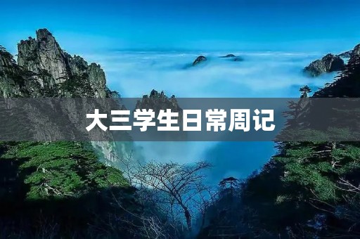 大三学生日常周记：一周的忙碌与收获