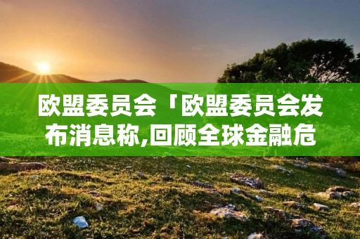 欧盟委员会「欧盟委员会发布消息称,回顾全球金融危机」 欧盟委员会「欧盟委员会发布消息称,回顾全球金融危机」