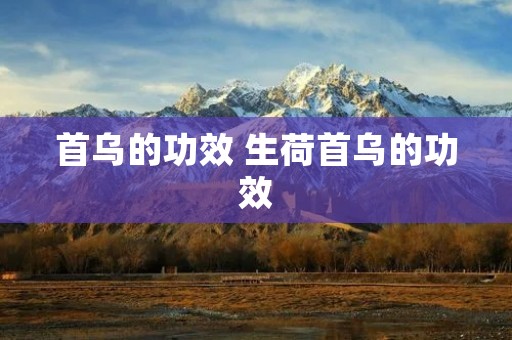 首乌的功效 生荷首乌的功效