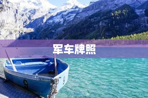 军车牌照:一种特殊的标识 军车牌照:一种特殊的标识