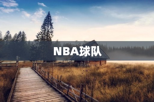 NBA球队：探索联盟的20个顶尖强队