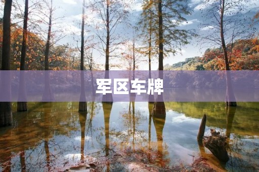 军区车牌:一种身份的象征 军区车牌:一种身份的象征