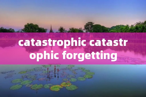 catastrophic catastrophic forgetting