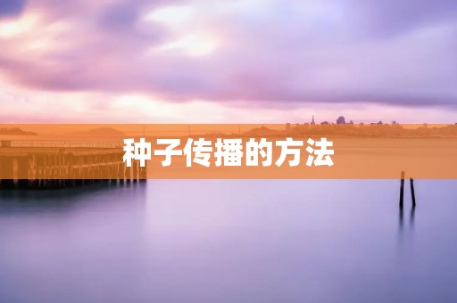 种子传播的方法:从选种到播种全过程详解