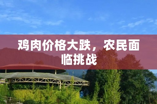 鸡肉价格大跌,农民面临挑战