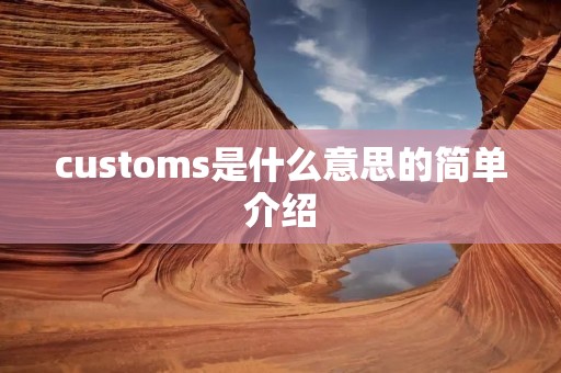 customs是什么意思的简单介绍