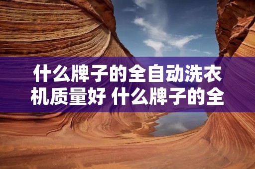 什么牌子的全自动洗衣机质量好 什么牌子的全自动洗衣机质量好用