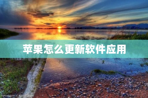 苹果怎么更新软件应用