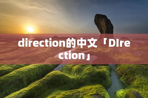 direction的中文「DIrection」