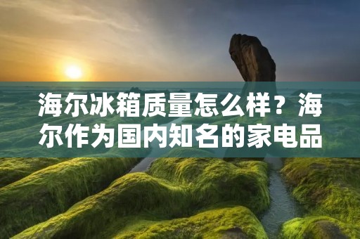 海尔冰箱质量怎么样？海尔作为国内知名的家电品牌，其冰箱质量自然是备受关注的。那么，海尔冰箱的质量究竟如何呢？我们通过以下几个方面来进行分析。