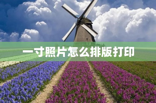 一寸照片怎么排版打印