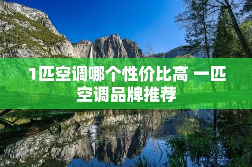 1匹空调哪个性价比高 一匹空调品牌推荐