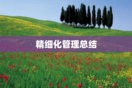 精细化管理总结:提升企业效率的有效途径