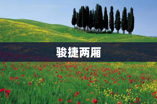 骏捷两厢：年轻时尚的城市代步利器