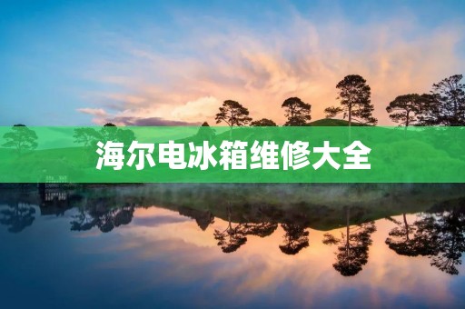 海尔电冰箱维修大全